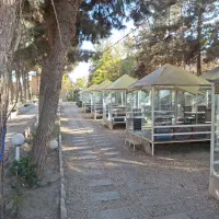 رستوران شاندیز