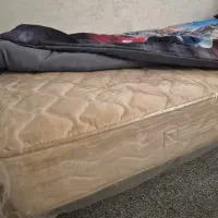 تشک در حد نو رویال