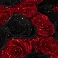 فقط ۱۵ تومن