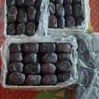 محصول درجه یک مال امسال|خدمات باغبانی و درختکاری|قم, مصلاء|دیوار