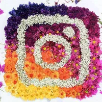 بازگردانی و بازیابی پیج اینستاگرام،ایمیل،تلگرام