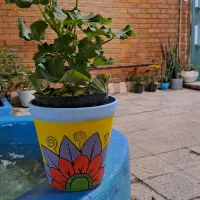 نقاشی|تابلو، نقاشی، عکس|اهواز, نادری|دیوار