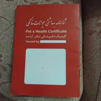 سگ پاکوتاه|سگ|همدان, |دیوار