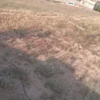 زمین ده غیبی امام رضا ۱۰ به متراژ ۵۰۰ متر