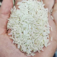 برنج دم سیاه