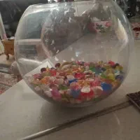 تنگ بزرگ خارجی