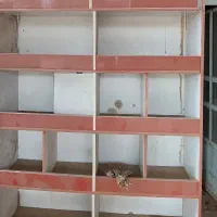 دکور MDF|کتابخانه، شلف، قفسه‌های دیواری|کرمان, |دیوار