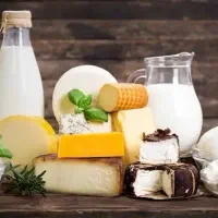 لبنیات و تخم مرغ بومی
