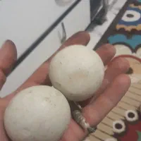 شهاب سنگ|کلکسیون اشیاء عتیقه|محمدشهر, جعفرآباد|دیوار