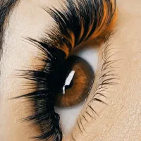 جشنواره مژه|خدمات آرایشگری و زیبایی|اندیشه, اندیشه فاز ۱|دیوار