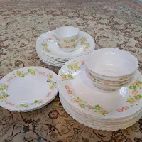 آرکوپال امارات