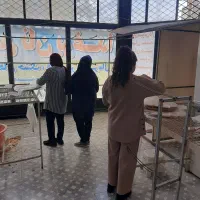 به یک نفر خانم جهت همکاری  نیازمندیم