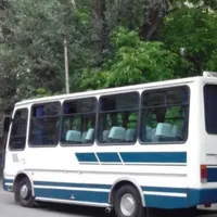 سرویس مینی بوس