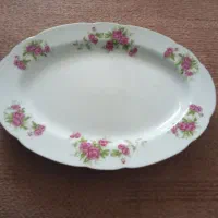 گلسرخی کلکسیونی