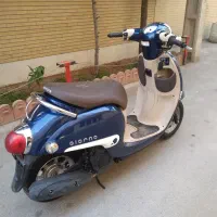 پاکشتی گرینو ای دیلینگ دار
