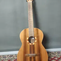 گیتار سدار مستر