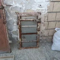 کفتر سار  ماده،در چخ وقفل کفتر،نورافکن دونخور کفتر|پرنده|مشهد, کوی دروی|دیوار