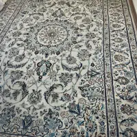 فرش نائین ۹ متری نونو|فرش|اصفهان, خلجا|دیوار
