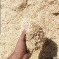 کاه درجه 1تحویل درب منزل یا گاوداری