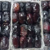 فروشی دوستان هرکس خواست زنگ بزنه|خوردنی و آشامیدنی|تربتحیدریه, پایانه مسافربری تربت حیدریه|دیوار