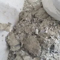 کود کفتری