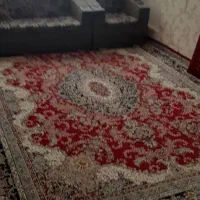 80متر-کلنگی-در-مجیدیه-جنوبی