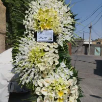 بازار گل محلاتی تاجگل دسته گل سبد گل کد ۴۰۰۵|گل و گیاه طبیعی|تهران, نیروی هوایی (پیروزی)|دیوار