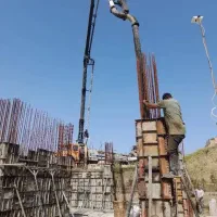 اسکلت بند