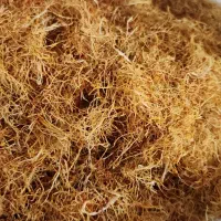 ریشه زعفران خراسان