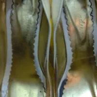 کفش سفید پاشنه بلند|کیف، کفش، کمربند|سمنان, |دیوار