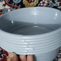 ظروف ساندویچی|ظروف نگهدارنده، پلاستیکی، یکبارمصرف|تهران, نظامآباد|دیوار