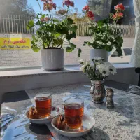 نیروی خانم جهت کار در فست فود