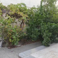 ویلایی بهارستان|اجارهٔ خانه و ویلا|اصفهان, بهارستان|دیوار