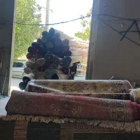 قالیشویی مرکزی