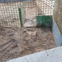 قفس(جفت گاه)|لوازم جانبی حیوانات|بیرجند, |دیوار