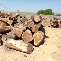 خریدوفروش انواع چوب|خدمات پیشه و مهارت|همدان, |دیوار