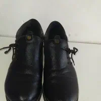 کفش زنانه|کیف، کفش، کمربند|کاشان, ملا حبیب‌الله شریف|دیوار