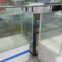 آکواریوم ۸۰ سانت