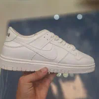 کفش نو