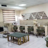 ۱۲عددصندلی|صندلی و نیمکت|تهران, مشیریه|دیوار