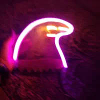 تابلو نئون میقولی|ریسه و چراغ تزئینی|ماسال, |دیوار