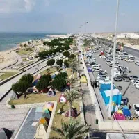 تورکیش  مهیج و ارزان و اقتصادی با بهترین کیفیت