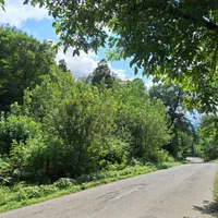 اجاره ویلا کنار رودخانه|اجارهٔ کوتاهمدت ویلا و باغ|شفت, |دیوار