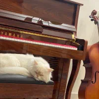 پیانو طرح آکوستیک p48|پیانو، کیبورد، آکاردئون|مشهد, بهاران|دیوار