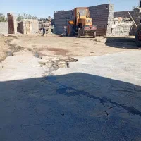 تراکتور بیل|خودرو سنگین|دلبران, |دیوار