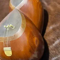 تار کارگاهی فرهنگیان با کیفیت و قیمت مناسب|سازهای سنتی|تهران, تهرانسر غربی|دیوار