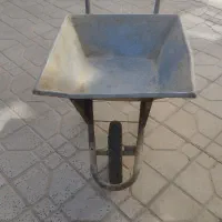 فرقون سالم و بدون پوسیدگی