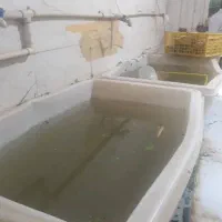 رهن و اجاره کارگاه|اجارهٔ دفتر صنعتی، کشاورزی، تجاری|باقرشهر, |دیوار