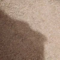 برنج محلی به شرط پخت اصل کامفیروز