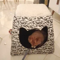 وسایل سگ پت